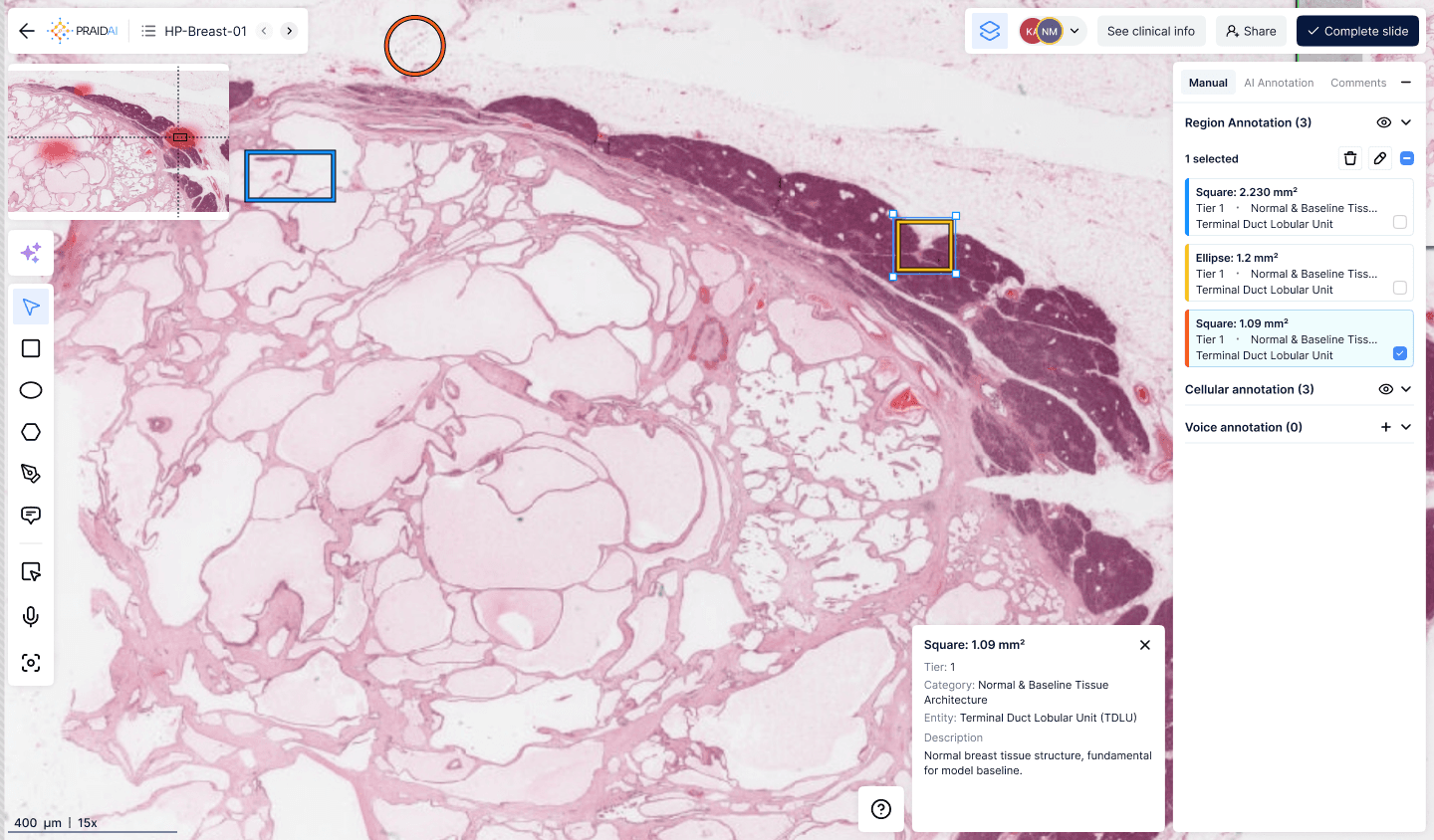 PRAID AI diagnostic platform